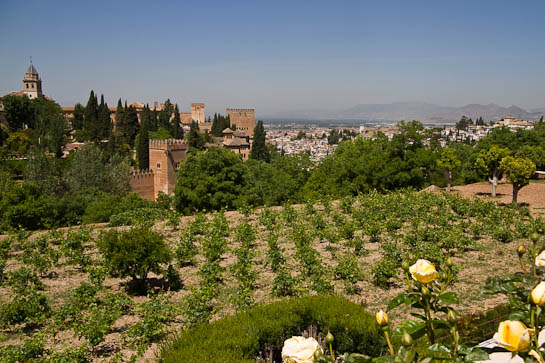 Granada2