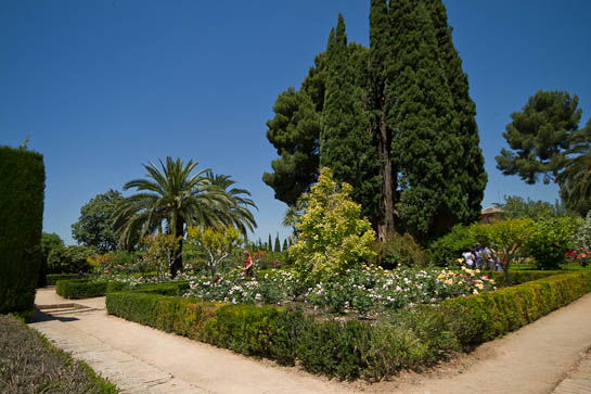 Granada4